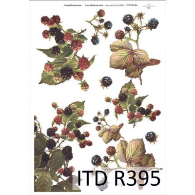 Бумага рисовая ITD A4 - R395