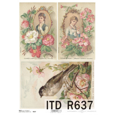 Бумага рисовая ITD A4 - R637