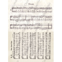 Decomania 35*50см - Cod.5245