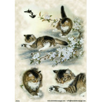 Mondodecoupage 30*40см - AN035G
