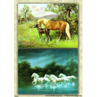 Mondodecoupage 30*40см - AN093G