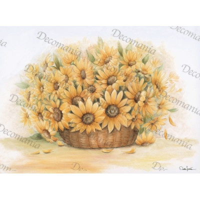 Decomania 35*50см - Cod.5214