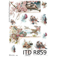 Бумага рисовая ITD A4 - R859