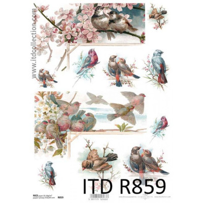 Бумага рисовая ITD A4 - R859