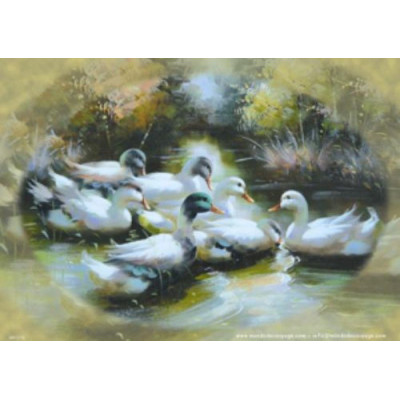 Mondodecoupage 30*40см - AN127G