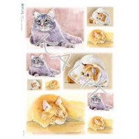 Kalit 32*45см - ANI_0045