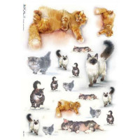 Kalit 32*45см - ANI_0037