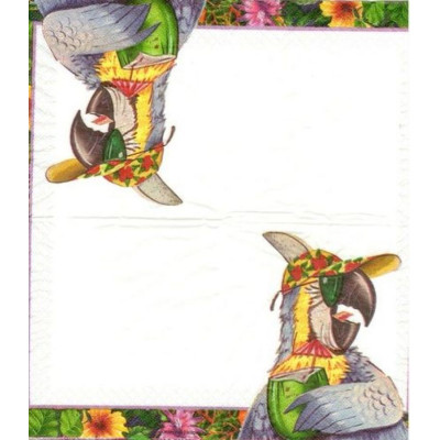 ПТИЦ-17756 25*25