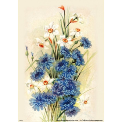 Mondodecoupage 30*40см - F462G