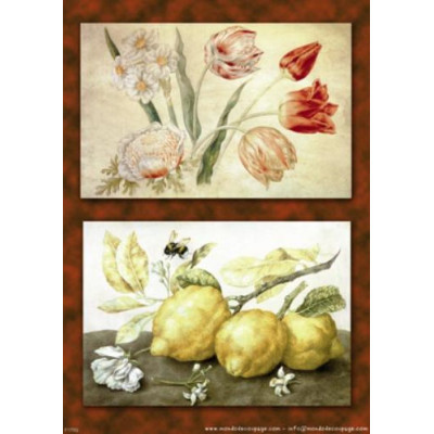 Mondodecoupage 30*40см - F175G