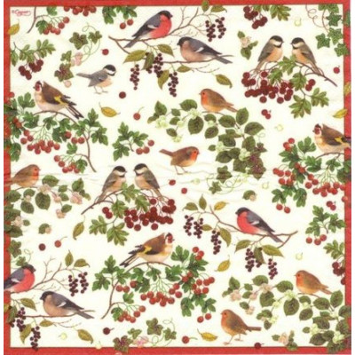 ПТИЦ-19631 21*21