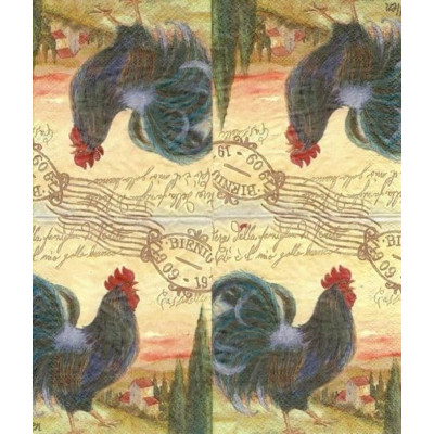 ПТИЦ-20620 25*25