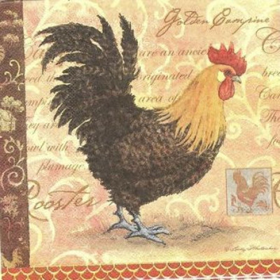 ПТИЦ-26865 33*33