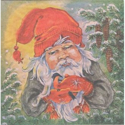 ЗИМА-23334 33*33