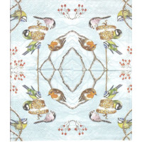 ПТИЦ-29972 25*25
