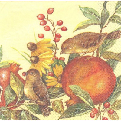 ПТИЦ-4764 33*33