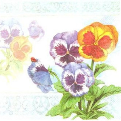 ЦВЕТвес-30248 33*33