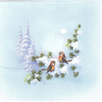 ПТИЦ-9687 33*33