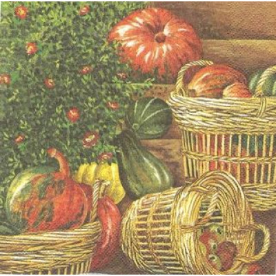 ОВОЩ-28500 33*33