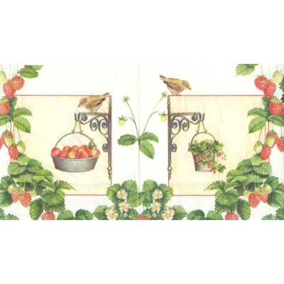 ПТИЦ-9982 33*33