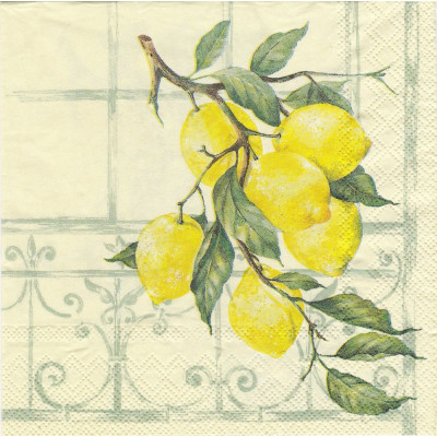ФРУКТ-27609 33*33